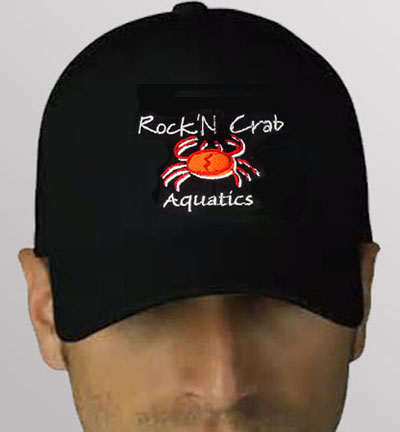 Rock 'n Carb Aquatics